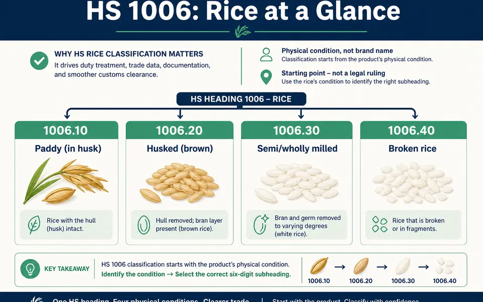 Rice HS codes: how to check classification for an international shipment