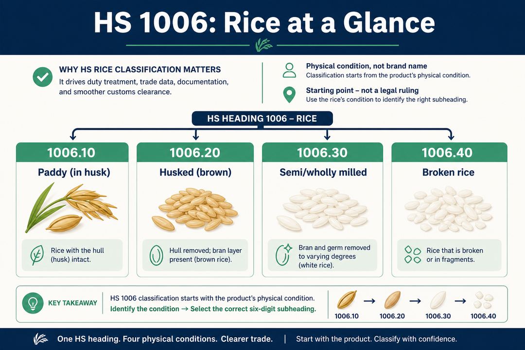 Cover-style infographic summarising HS heading 1006 for rice and its four main six-digit subheadings based on the rice’s physical condition.